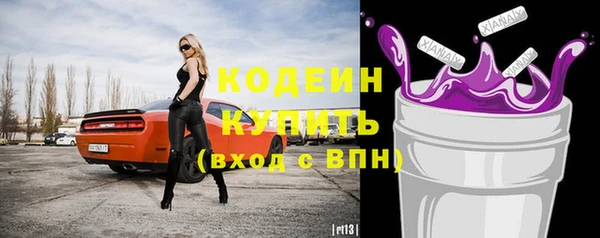 хмурый Арсеньев