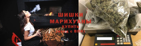 хмурый Арсеньев