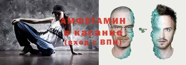 хмурый Аркадак
