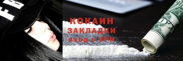 дживик Осинники