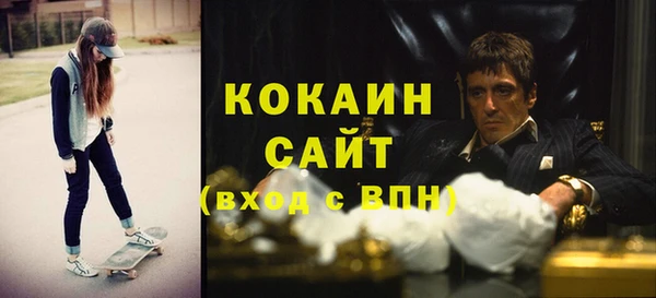 хмурый Аркадак