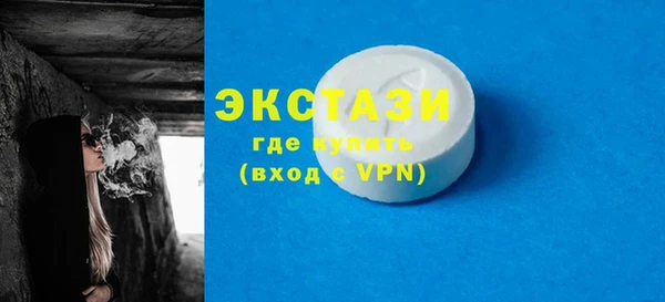 хмурый Аркадак