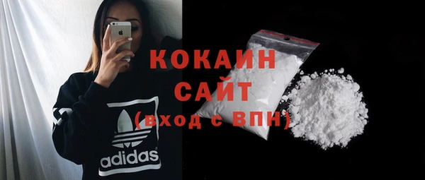 хмурый Арсеньев