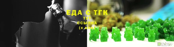 хмурый Арсеньев