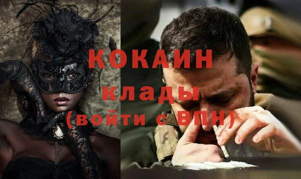 хмурый Аркадак