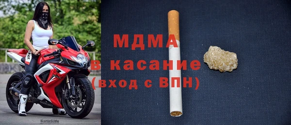 хмурый Аркадак