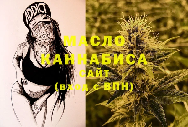 хмурый Аркадак