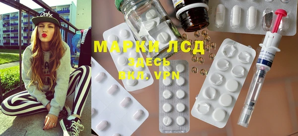 хмурый Аркадак