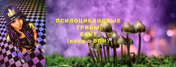 хмурый Арсеньев