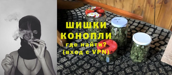 хмурый Арсеньев