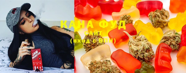 хмурый Арсеньев