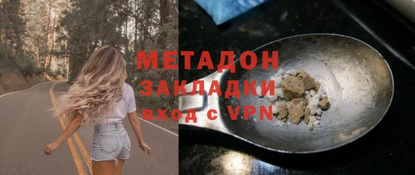 хмурый Аркадак