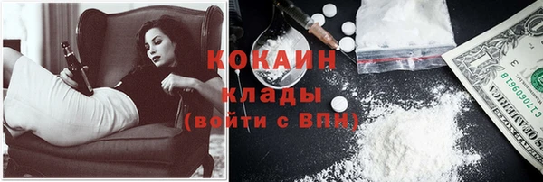 хмурый Арсеньев