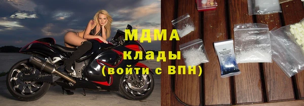 хмурый Аркадак