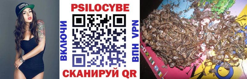 цены   Узловая  мега маркетплейс  Псилоцибиновые грибы Magic Shrooms 